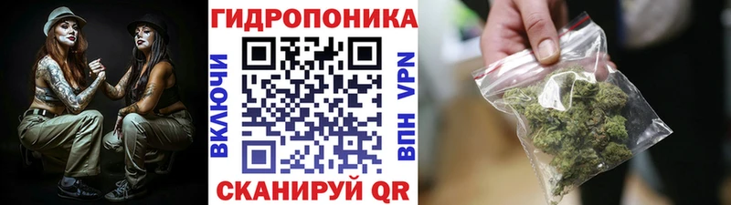 МЕФ Нефтегорск