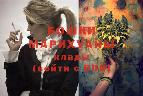 трава Арсеньев