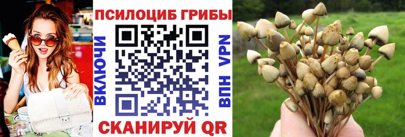 Псилоцибиновые грибы Magic Shrooms Нефтегорск